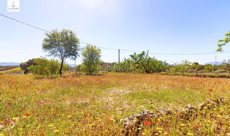 Foto f8fb2939-3026-491d-aeb2-be3ed2d9b022. Casale con riscaldamento parcheggio in Archidona