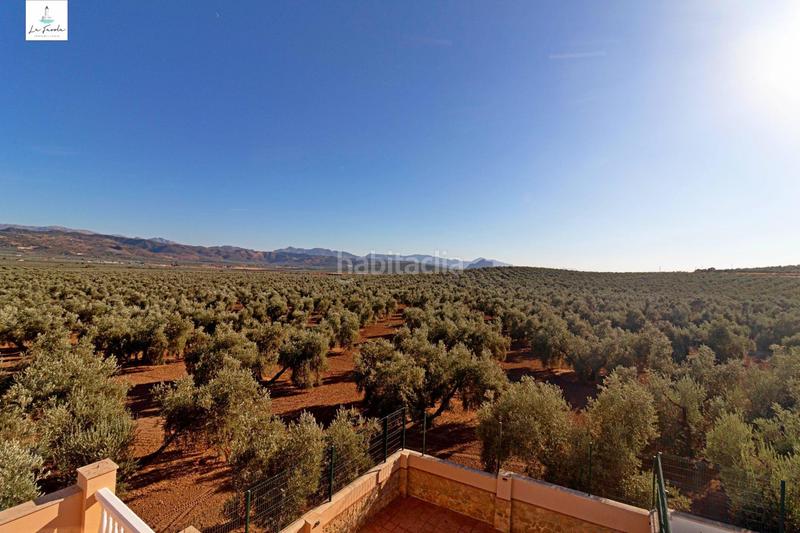 Foto 5fcef6a9-0c2b-4b5f-8f87-ec336445cc46. Alquiler casa adosada chalet adosado en alquiler en Archidona