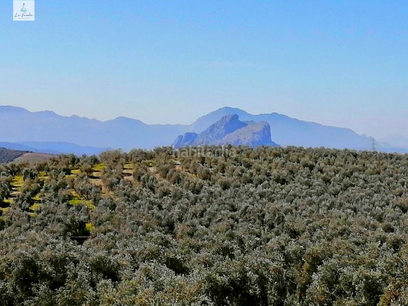 Foto c7607f3f-5f14-403e-9157-58060537f538. Xalet amb aparcament piscina a Archidona