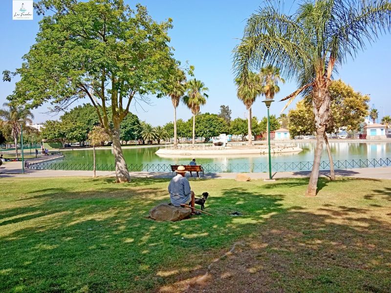 Foto 663c62a8-7f5e-4a62-a884-833954b2d1c8. Rent flat in Parque Ayala - Jardín de la Abadía - Huelín Málaga