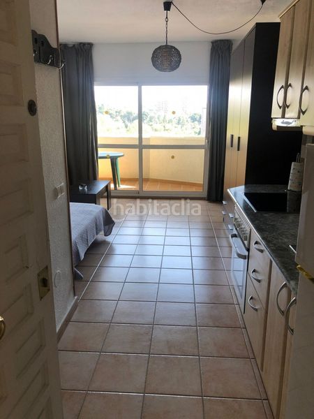 Foto 13c079ea-b198-4285-8631-f9ac63e7b649. Location studio avec piscine dans Parque de la Paloma Benalmádena