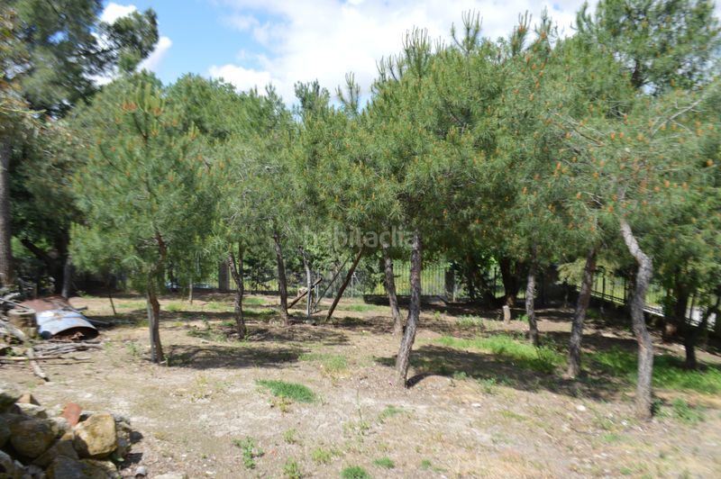 Foto 16e7b142-fa47-46d5-ada6-cdf71fdada25. Xalet amb xemeneia calefacció aparcament piscina a Batres