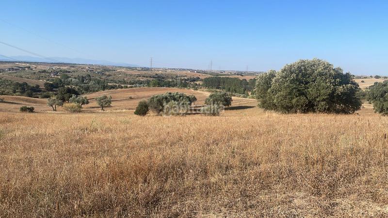 Foto f37eb21f-3f54-4794-bab4-10a8c92c3925. Finca rústica inmorenta ofrece terreno rural ! en Villamanta