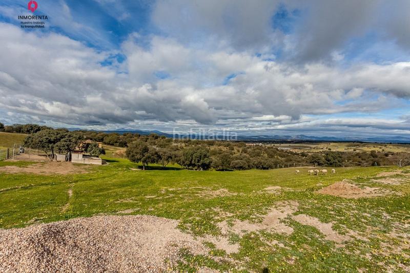 Foto eeecf24b-6120-4221-9841-7a0524f0d548. Mas dans carretera km 9.9 m-530 dans Villamanta