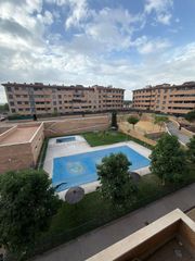 Rent Penthouse  Calle calle labrador