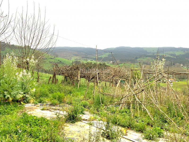 Foto 4ef2b6d7-c7f9-48bc-a84a-77812d036795. Finca rústica en Hazas de Cesto - barrio liegra 2 finca rústica en Hazas de Cesto