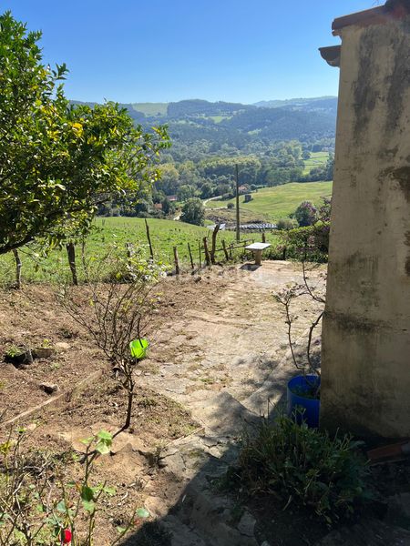 Foto 50f4609d-c359-4fb3-8aad-2ac4d9545f62. Finca rústica en Hazas de Cesto - barrio liegra 2 finca rústica en Hazas de Cesto