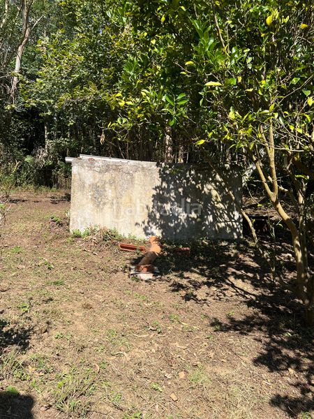 Foto d779a26d-d8b4-4acf-8361-345e79845e2e. Finca rústica en Hazas de Cesto - barrio liegra 2 finca rústica en Hazas de Cesto
