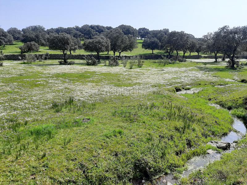 Foto 40789a9a-a04f-4f3d-a63c-80c29de4a948. Terreno residencial en Malpartida de Plasencia