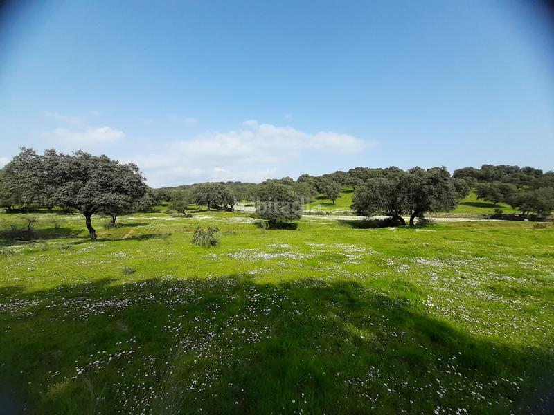 Foto 608d9533-bb79-4486-a46b-fa041a22555c. Terreno residencial en Malpartida de Plasencia