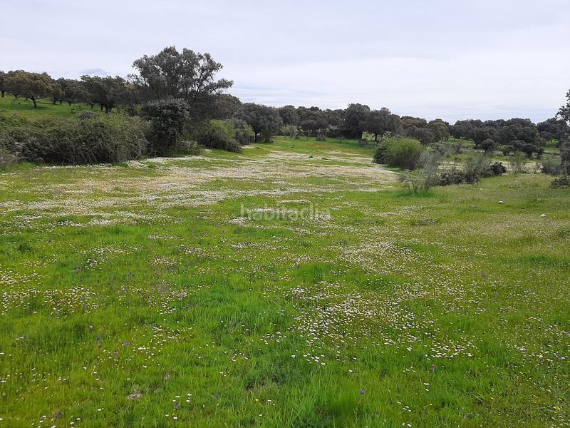 Foto bc0e132e-147e-4f3d-b4ca-37b8c7c01016. Terreno residencial en Malpartida de Plasencia