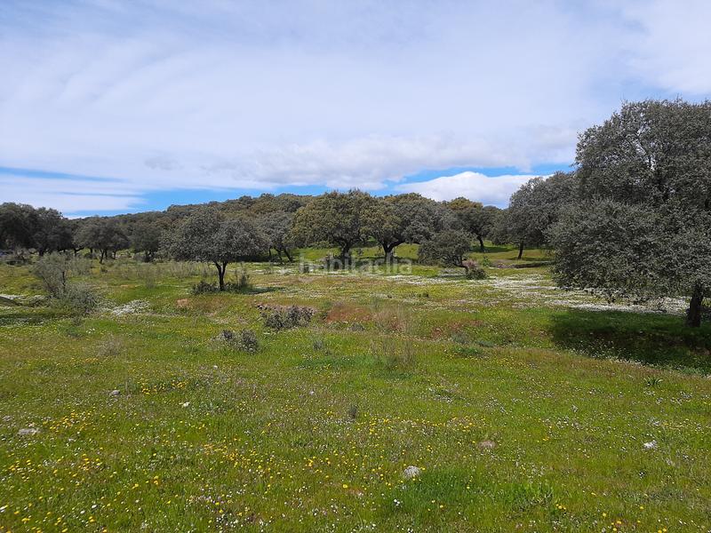 Foto dff4951c-39e1-448b-a6b6-4f825564dfae. Terreno residencial en Malpartida de Plasencia