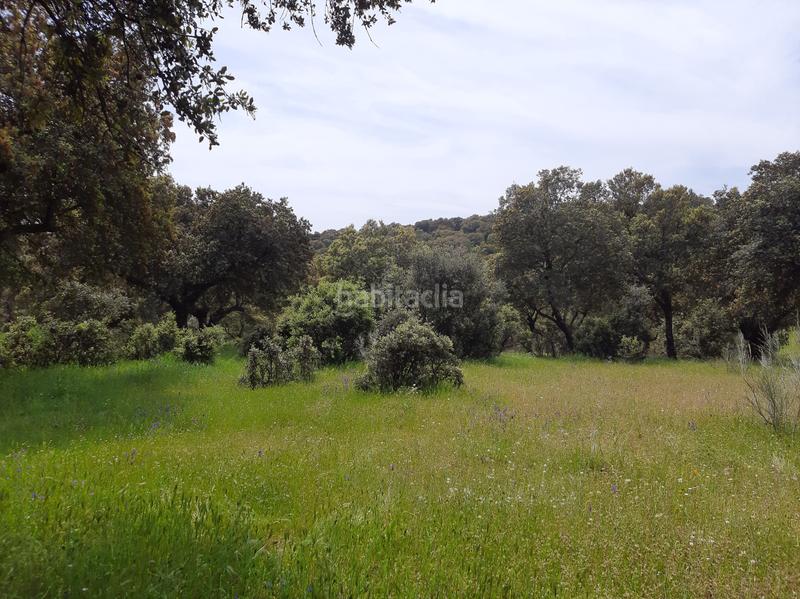 Foto ec0d713d-0624-4f4d-9a88-339f0de27d5c. Terreno residencial en Malpartida de Plasencia