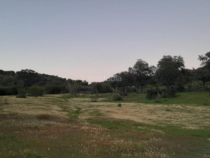 Foto ed2d5d5c-c4fd-4e5e-8cd7-b761564b2cc6. Terreno residencial en Malpartida de Plasencia