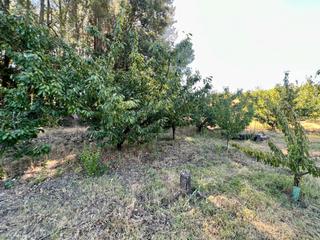 Propriété à Jaraíz de la Vera. Finca en la vera con construcción.
