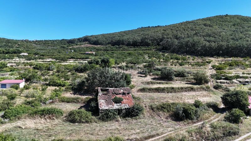 Foto 59d72b97-3a2f-4768-9f9e-4c5abbb3bf88. Terreno residenziale in n/a in Torremenga