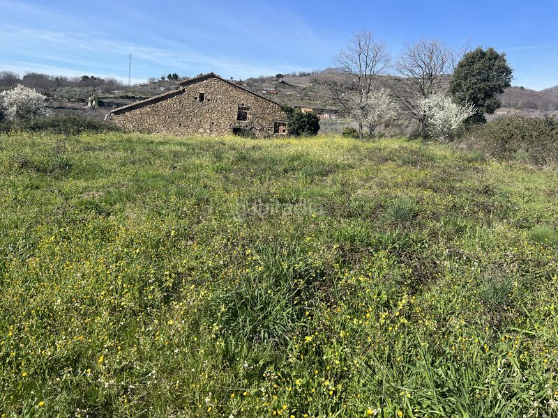 Foto cb01e6bd-8b0d-48a8-b5dd-01246ee69509. Terreno residenziale in n/a in Torremenga