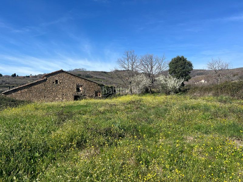 Foto cf07ff87-911b-4755-b617-7255986a85f6. Terreno residenziale in n/a in Torremenga