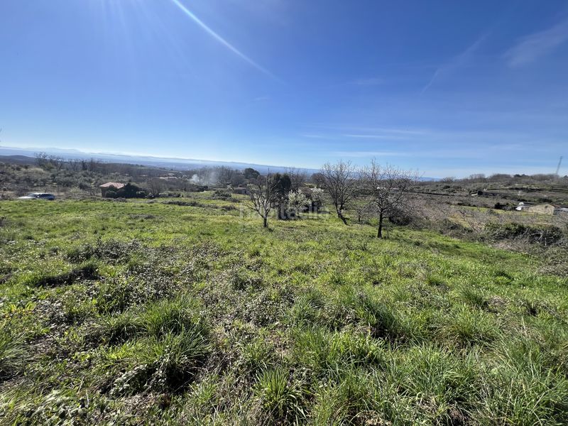 Foto fb483384-3e40-48e1-b6c0-1b3ad379aa72. Terreno residenziale in n/a in Torremenga