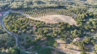 Propriété à N/a. Finca de cerezos y castaños con construcción y mucha agua