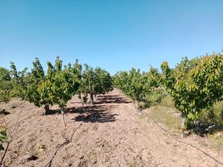 Finca rústica a N/a