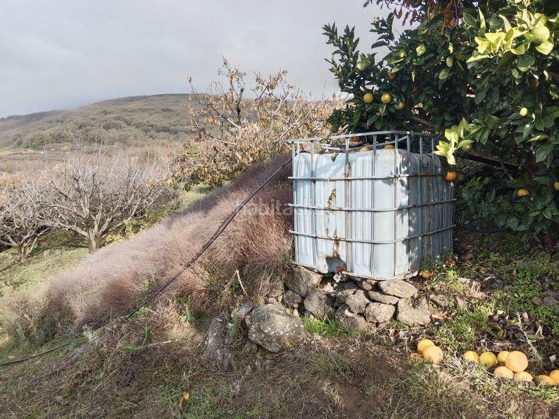 Foto ce6d1389-7737-4795-a221-649e448aa5ad. Fondo rustico in n/a in Pasarón de la Vera