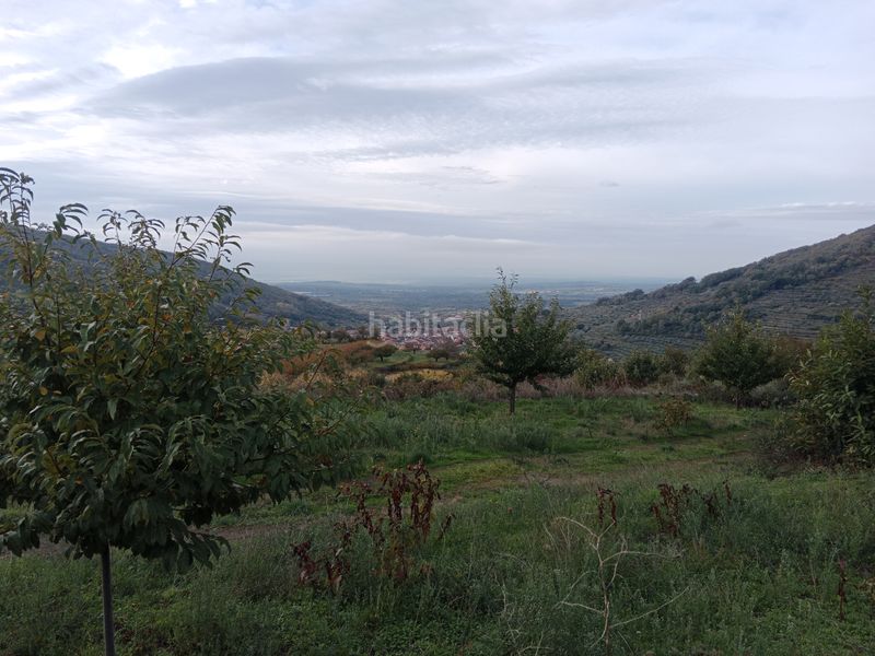 Foto dfbb257d-2c26-4740-8992-1c6bc037e109. Fondo rustico in n/a in Pasarón de la Vera