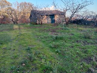 Finca rústica a Plaza padre la calle 5. Venta de finca tardía de cerezos en el torno.valle del jerte