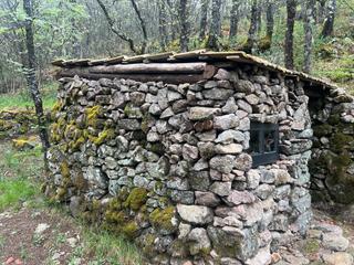 Finca rústica a N/a. Se vende conjunto de dos parcelas de castaños en garganta la oll