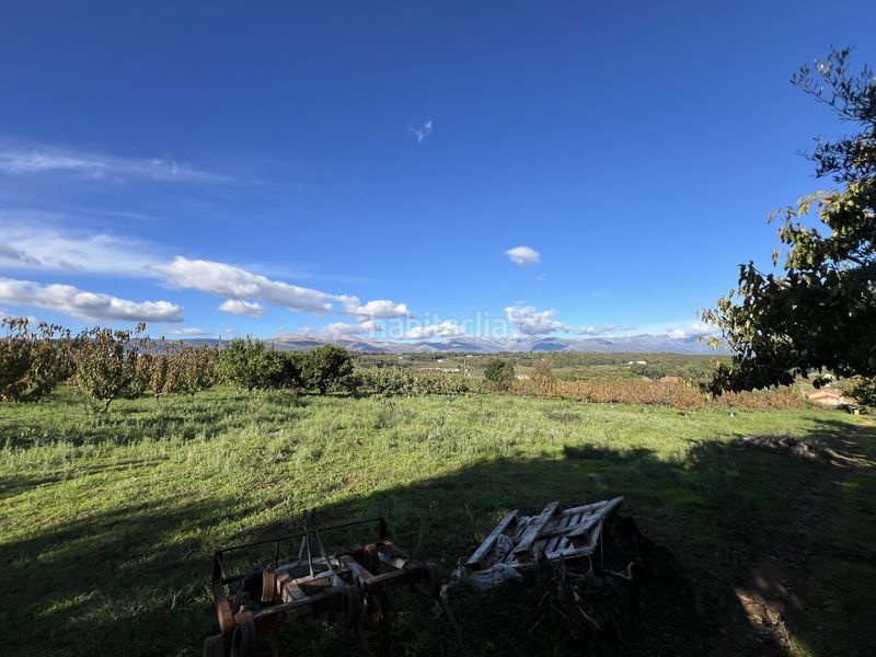 Foto 046d340a-807a-4bb3-9a1d-4086ee421751. Finca rústica a avenida de la constitución 108 a Jaraíz de la Vera