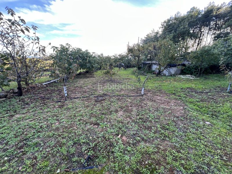 Foto 3107c15d-98e4-4734-be2a-42c68eb324b4. Finca rústica a avenida de la constitución 108 a Jaraíz de la Vera