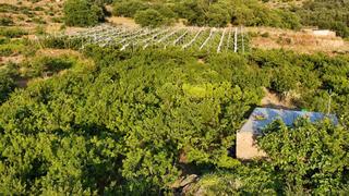 Finca rústica a N/a. Venta de finca de cerezos bajo plástico