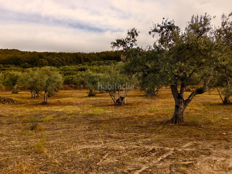 Foto 6410eea4-7823-47b3-a656-2ad384237a39. Fondo rustico in n/a in Barrado
