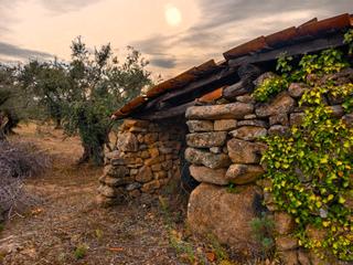 Finca rústica a N/a