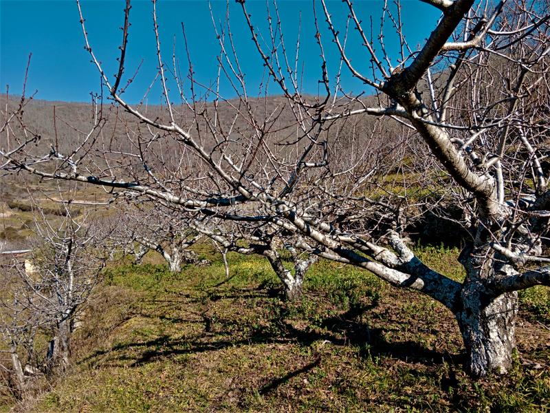 Foto 278b37af-8641-40ec-91d9-f241baf40240. Finca rústica a n/a a Barrado