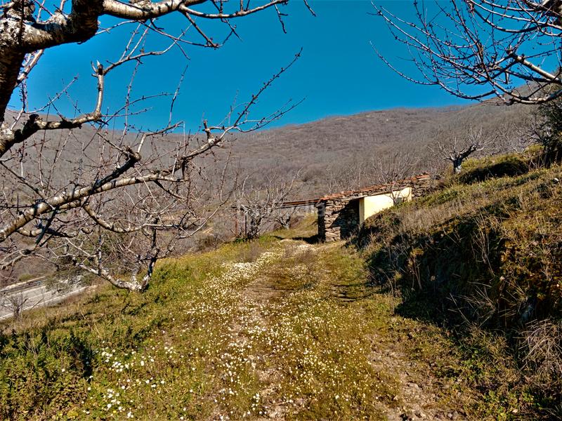Foto 4d000c2c-92a6-4541-a5b8-9c026abd4637. Finca rústica en n/a en Barrado