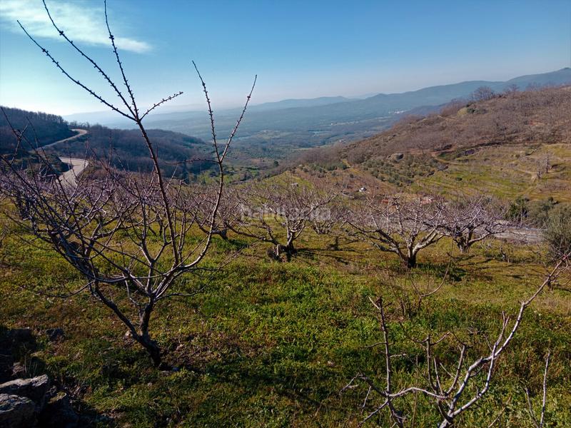 Foto 928f2b32-1498-4986-b53c-46bda650e112. Finca rústica en n/a en Barrado