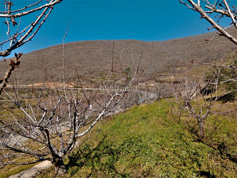 Foto ae680ca3-9b47-428e-983c-6c8bde8b1ec0. Finca rústica en n/a en Barrado