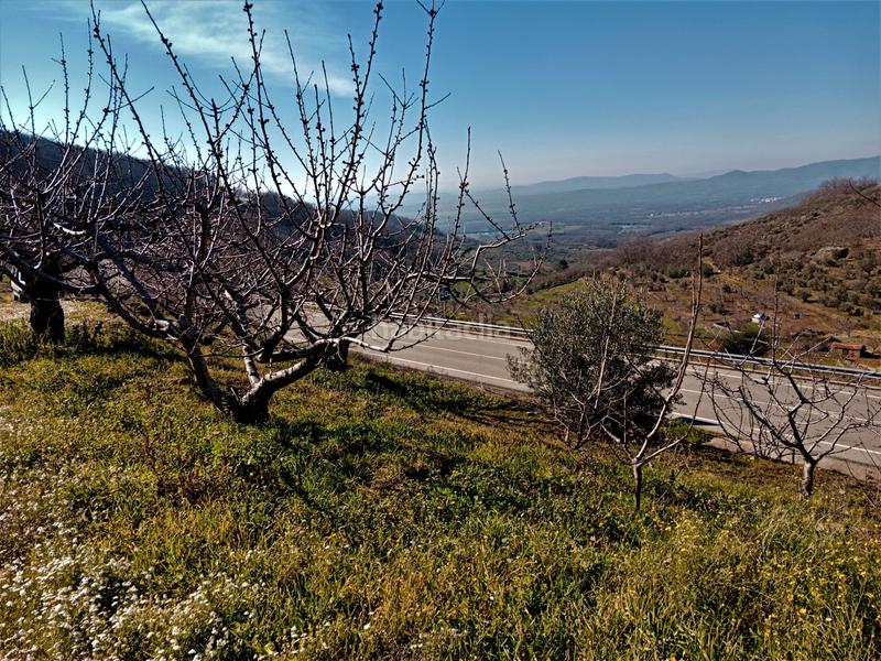 Foto b555b5a4-7754-4e30-8de8-881e77e4f685. Finca rústica en n/a en Barrado