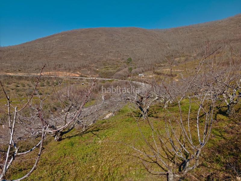 Foto bbd9ec97-8800-42e7-a4f5-1effef858b77. Finca rústica en n/a en Barrado