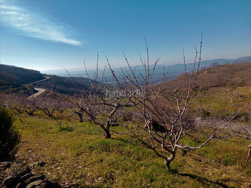 Foto c1455831-967a-4eb4-bb91-4056f5e654e5. Finca rústica en n/a en Barrado