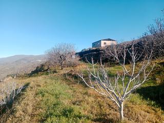 Finca rústica a N/a. Venta de finca de higueras en casas del castañar