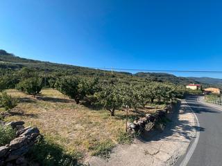 Terreny residencial a Paseo naranjos 116. Venta de solar en valdastillas-valle del jerte