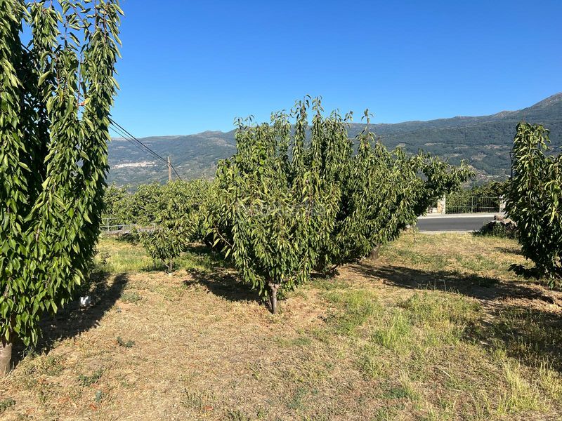 Foto 55c2d923-182b-454a-b00f-a5d99745791c. Terreno residenziale in paseo naranjos 116 in Valdastillas