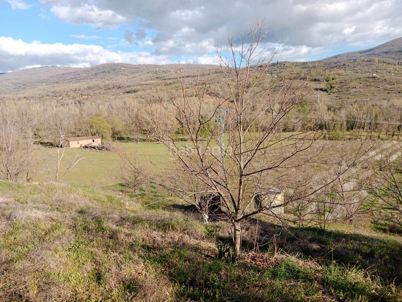 Foto 434fdf6b-27d6-4959-8cff-ca991383aff1. Finca rústica a n/a a Torno (El)