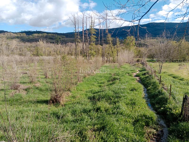 Foto 5bd8e48d-a1de-4443-838c-517330af0955. Finca rústica a n/a a Torno (El)