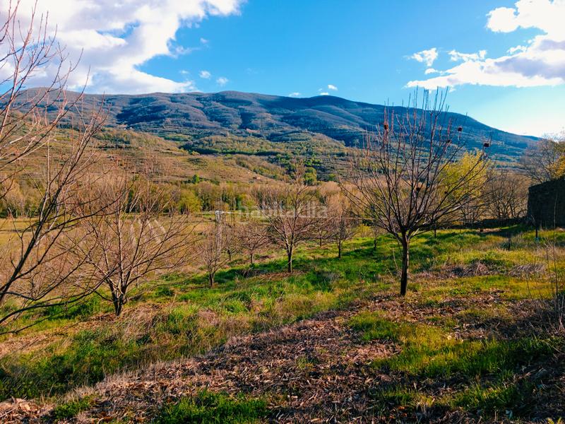 Foto afb6a33f-6e1d-4074-8a47-95b6d2a999a5. Finca rústica a n/a a Torno (El)