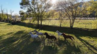 Finca rústica a N/a