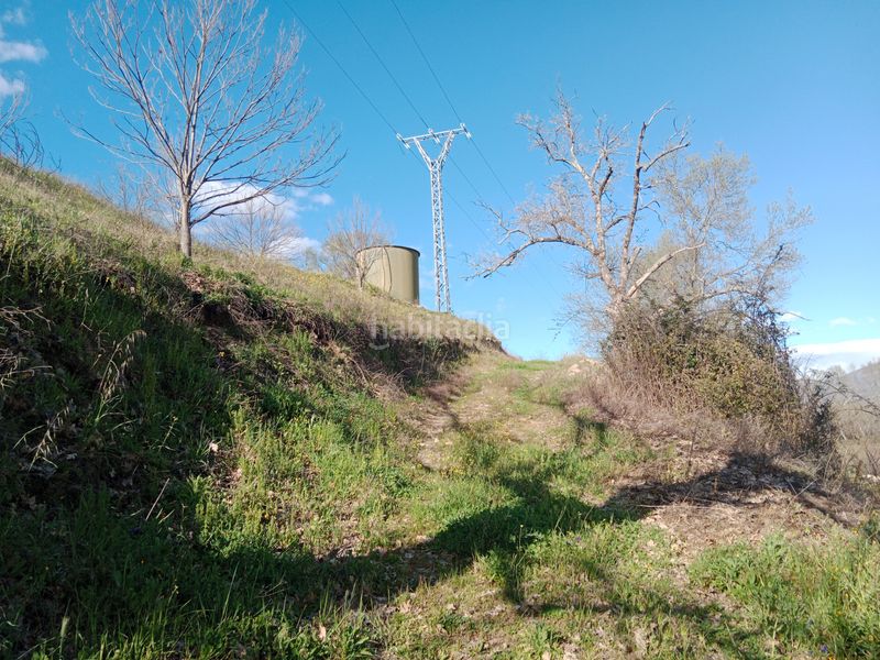 Foto 0f24bdaa-9fe6-4607-977a-185c1b1ccaa7. Finca rústica a plaza padre la calle 5 a Torno (El)