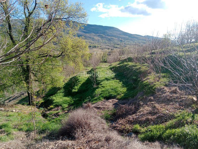 Foto 15e68cf0-244a-4d0c-90fb-752d3afc2355. Finca rústica a plaza padre la calle 5 a Torno (El)